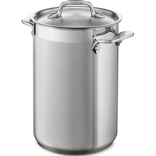 All-Clad Stainless Steel Asparagus Pot with Insert - Discover Gourmet
