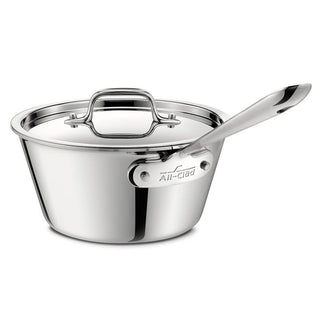 All-Clad Stainless Windsor Pan with Lid, 2.5 qt - Discover Gourmet